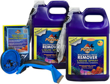 Load image into Gallery viewer, Roman 209932 Roman 209932 2-Gallon Medium Room Liquid Spray Wallpaper Removal Kit, ,
