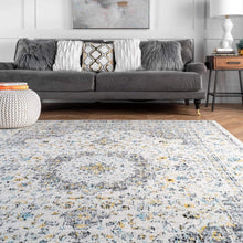 Load image into Gallery viewer, nuLOOM Paisley Verona Vintage Persian Area Rug
