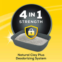 Load image into Gallery viewer, Purina Tidy Cats 4-in-1 Strength Clumping Multiple Cat Litter