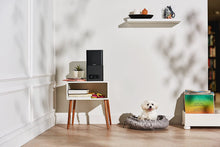 Load image into Gallery viewer, Petcube Bites Pet Camera with Treat Dispenser: HD 1080p Video Monitor, 2-Way Audio, Night Vision, Sound and Motion Alerts. Designed for Dogs and Cats