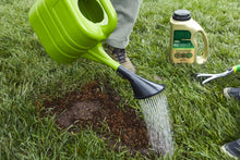 Load image into Gallery viewer, Scotts 17511 Seed Tall Fescue Lawns 3.75 LB
