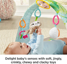 Load image into Gallery viewer, Fisher-Price Ready to Hang Sensory Sloth Gym, Infant Activity Mat With Toys For Tummy Time and Play
