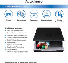 Load image into Gallery viewer, Epson Perfection V19 Color Photo &amp; Document Scanner with scan-to-cloud &amp; 4800 dpi optical resolution