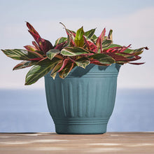 Load image into Gallery viewer, Bloem Colonnade Wood Resin Planter (CLN20-54), Forest Green, 20&quot;