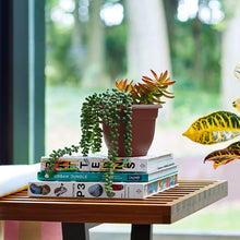 Load image into Gallery viewer, Bloem 20-56312CH Fiskars 12 Inch Ariana Planter with Self-Watering Grid, Chocolate, 12&quot;, Browns