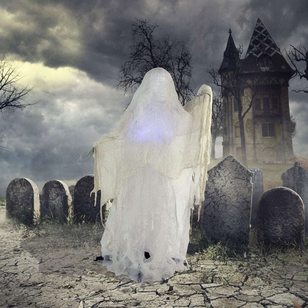 Haunted Hill Farm HHCAGE-1H Life-Size Cage, Color 1