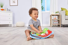 Load image into Gallery viewer, Little Tikes Little Baby Bum Singing Storybook Official Nursery Rhyme Song Soft Book