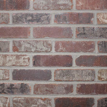 Load image into Gallery viewer, Single Thin Bricks - Flats for Brickwebb (Box of 50) - Castle Gate