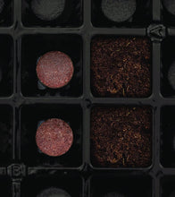 Load image into Gallery viewer, Burpee 72 Cell Self-Watering Seed Starting Kit, 72 Cell Black