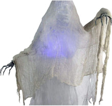 Load image into Gallery viewer, Haunted Hill Farm HHCAGE-1H Life-Size Cage, Color 1