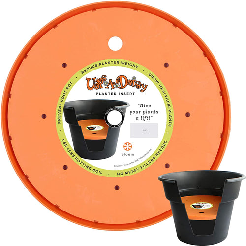 Bloem Ups-A-Daisy Round Planter Lift Insert (T6328), Orange, 18