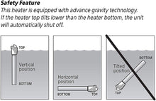 Load image into Gallery viewer, Aqueon Adjustable Pro Aquarium Heater