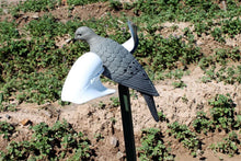 Load image into Gallery viewer, MOJO Outdoors Wind Dove Decoy