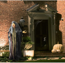 Load image into Gallery viewer, Haunted Hill Farm HHWITCH-13FLSA Life Size Animatronic Witch, Indoor/Outdoor Halloween Decoration, Multi