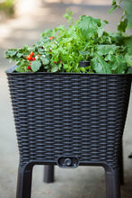 Load image into Gallery viewer, Keter Easy Grow 31.7 Gallon Raised Garden Bed with Self Watering Planter Box and Drainage Plug