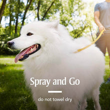 Load image into Gallery viewer, Sergeant's Pet Products 2593 Pet Armor Fast Act Plus Flea &amp; Tick Spray Dog/Cat, 16 Oz