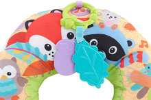 Load image into Gallery viewer, Fisher-Price Comfort Vibe Play Wedge