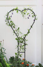 Load image into Gallery viewer, Achla Designs TSW-12KD Heart Hanger Wrought Iron Garden Trellis, Black