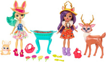Load image into Gallery viewer, Enchantimals Garden Magic Doll Set