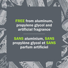 Load image into Gallery viewer, Schmidt's Natural Deodorant - Charcoal + Magnesium 2.65 Oz