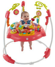 Load image into Gallery viewer, Fisher-Price Jumperoo
