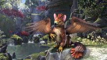 Load image into Gallery viewer, The Elder Scrolls Online: Summerset