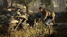 Load image into Gallery viewer, Days Gone