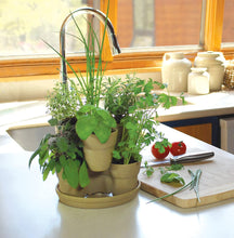 Load image into Gallery viewer, Emsco Group