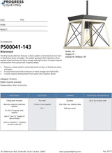 Load image into Gallery viewer, Progress Lighting P500041-031 Briarwood Pendants
