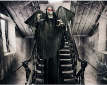 Load image into Gallery viewer, Haunted Hill Farm HHWINGSKEL-2FLSA Life-Size Animatronic Reaper, Indoor/Outdoor Halloween Decoration, Multi