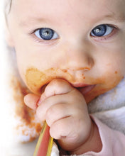 Load image into Gallery viewer, Hamilton Beach 36533 Bebe Baby Food Maker, 5 Cup Food Processor with 10 Food Containers and 2 Stackable Caddies, White