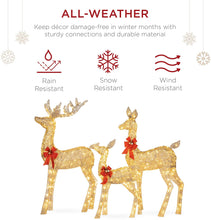Load image into Gallery viewer, Best Choice Products 3-Piece Lighted Christmas Deer Family Set Outdoor Yard Decoration with 360 LED Lights, Stakes, Zip Ties