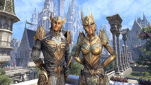 Load image into Gallery viewer, The Elder Scrolls Online: Summerset