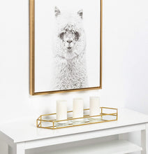 Load image into Gallery viewer, Kate and Laurel Felicia 26x8 Narrow Metal Mirrored Tray