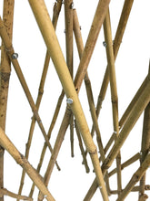 Load image into Gallery viewer, Natural Bamboo Poles Teepee, 60" H, Natural Finished, BT-60