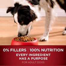 Load image into Gallery viewer, Purina ONE SmartBlend True Instinct Natural Adult Dry Dog Food &amp; Dog Treats
