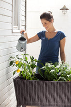 Load image into Gallery viewer, Keter Easy Grow 31.7 Gallon Raised Garden Bed with Self Watering Planter Box and Drainage Plug