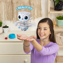 Load image into Gallery viewer, Owleez, Flying Baby Owl Interactive Toy with Lights &amp; Sounds