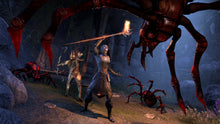 Load image into Gallery viewer, The Elder Scrolls Online: Summerset