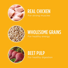 Load image into Gallery viewer, Iams Proactive Health Puppy Dry Dog Food, Chicken, All Breed Sizes