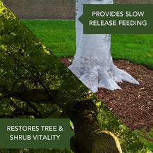 Load image into Gallery viewer, BioAdvanced Gal Tree and Shrub Control,