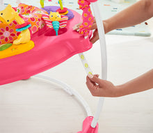 Load image into Gallery viewer, Fisher-Price Jumperoo
