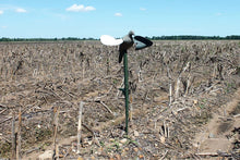 Load image into Gallery viewer, MOJO Outdoors Wind Dove Decoy