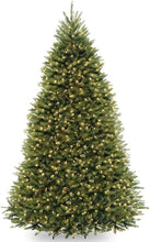 Load image into Gallery viewer, National Tree Company