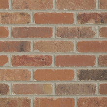 Load image into Gallery viewer, Single Thin Bricks - Flats for Brickwebb (Box of 50) - Dixie Clay