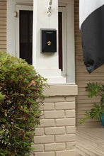 Load image into Gallery viewer, Gibraltar Mailboxes Classic Small Capacity Galvanized, Wall-Mount Mailbox, BW110000