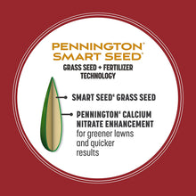 Load image into Gallery viewer, Pennington Smart Seed Perennial Ryegrass and Fertilizer Blend, 3 Pounds