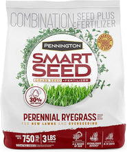 Load image into Gallery viewer, Pennington Smart Seed Perennial Ryegrass and Fertilizer Blend, 3 Pounds