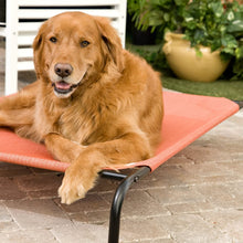 Load image into Gallery viewer, Coolaroo Elevated Pet Bed -