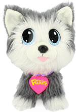 Load image into Gallery viewer, Rescue Runts Husky Plush Dog, White/Gray